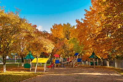 Trees in park during autumn