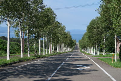 Road amidst trees against sky