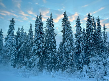 Snow covered land against sky during winter