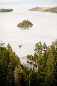 High angle view of lake amidst trees in forest