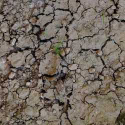 Full frame shot of cracked wall