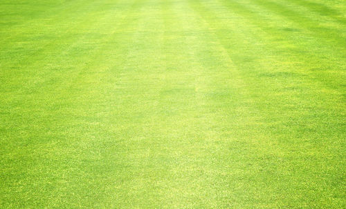 Full frame shot of soccer field