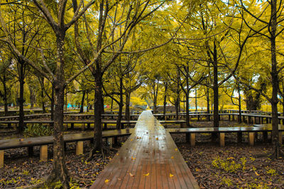 Central park in japan