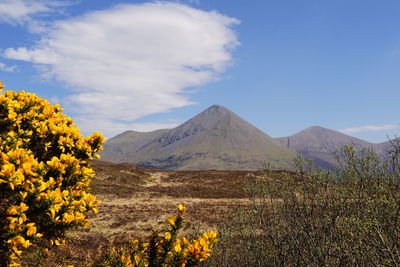 mountain