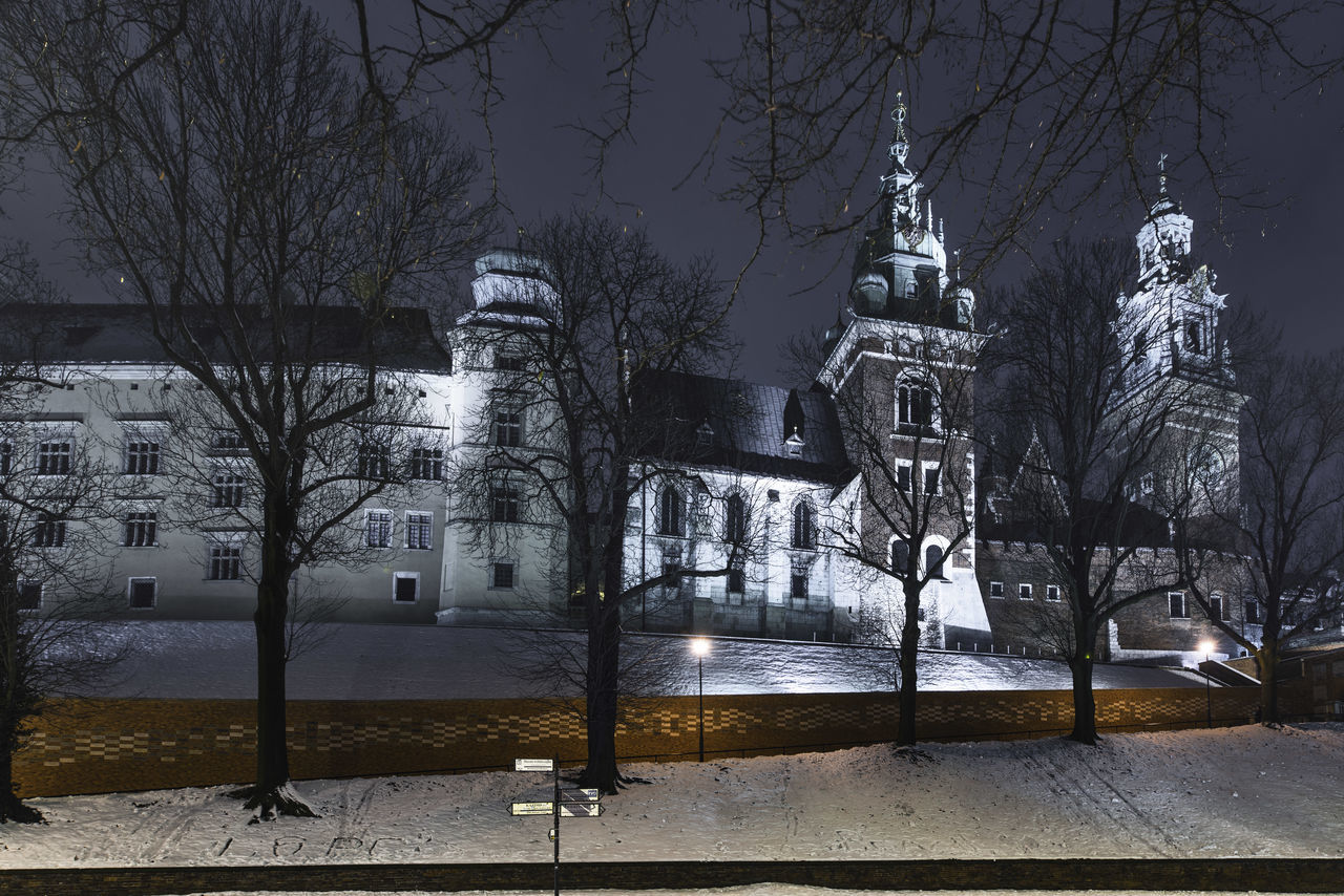 tree, bare tree, architecture, plant, snow, winter, building exterior, built structure, nature, cold temperature, building, no people, city, religion, place of worship, sky, street, night, belief, travel destinations, outdoors, branch, spirituality