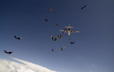 Low angle view of birds flying against sky