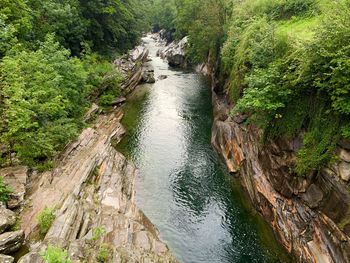 High angle view of river flowing amidst trees in forest