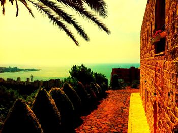 Scenic view of sea at sunset