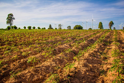 Scenic view of field against sky