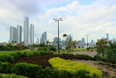 Trees in city against cloudy sky