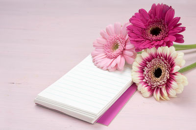 High angle view of pink flower on table