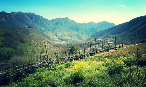 Scenic view of mountains