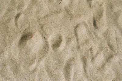 High angle view of footprints on sand