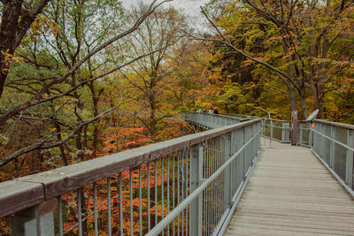 Footbridge amidst trees in forest during autumn