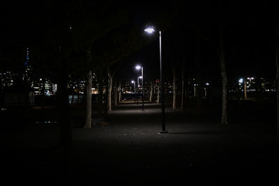 Illuminated street light at night