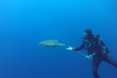 Man scuba diving with sea turtle