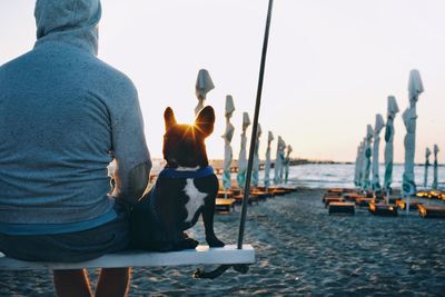 Rear view of man with dog  on the beach at sunrise