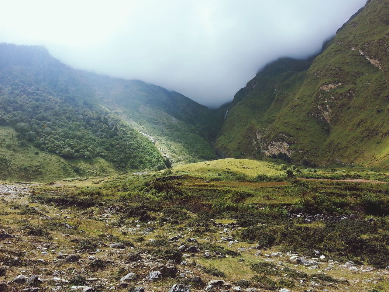 mountain, tranquil scene, tranquility, landscape, scenics, beauty in nature, mountain range, sky, nature, grass, non-urban scene, green color, hill, fog, growth, idyllic, remote, cloud - sky, day, valley