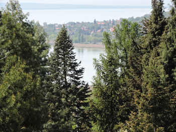 High angle view of trees by river against sky