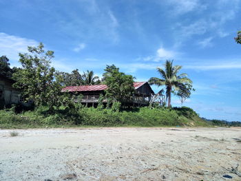 Scenic view of palm trees on beach against sky