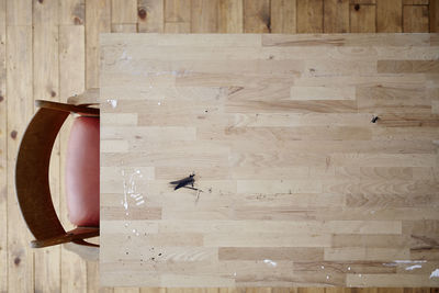 High angle view of bird flying against wooden wall