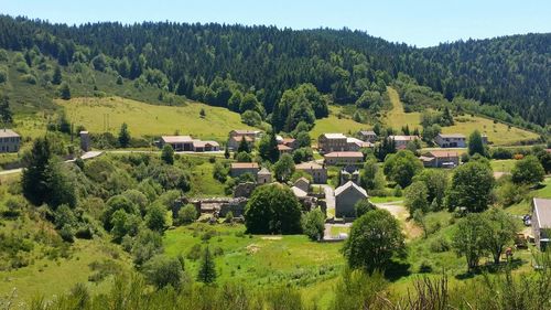 Scenic view of green landscape against clear sky