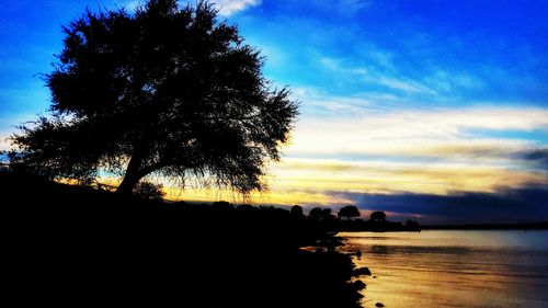 Silhouette tree by sea against sky during sunset