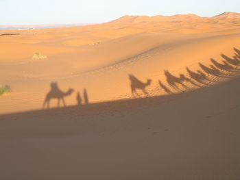 Scenic view of sand dunes in desert against sky