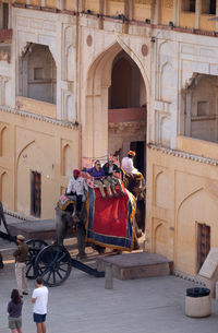 Decorated elephants carrying tourists at amber fort in jaipur, rajasthan, india