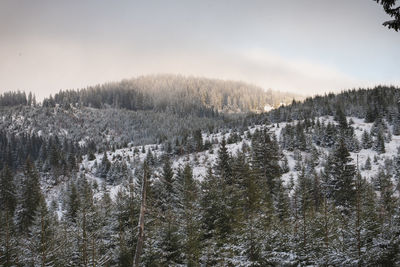 Scenic view of snow covered land against sky