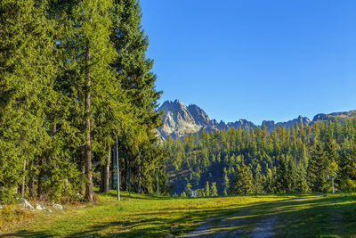 Landscape with forest and mountain in high tatras mountains in slovakia