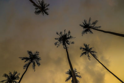 Low angle view of silhouette palm trees against sky at sunset