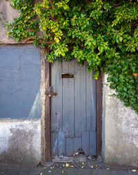 Closed door of old building