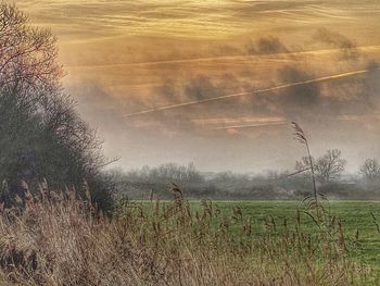 Scenic view of field against sky
