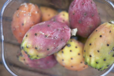 High angle view of fruits in container