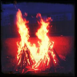 fire - natural phenomenon