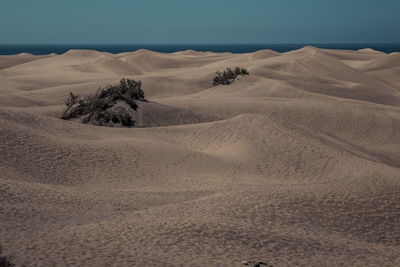 Sandy beach against sky