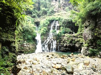 Scenic view of waterfall in forest