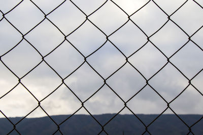 Metal fence background, real fence close-up and texture on the white sky background