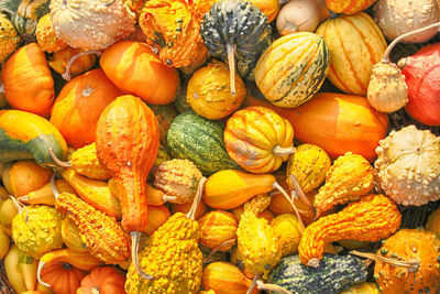 Full frame shot of pumpkins at market