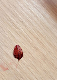 High angle view of heart shape on wooden table