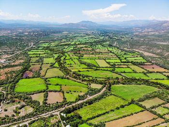 Aerial view of agricultural field against sky