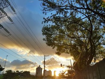 Close-up of trees against sky at sunset