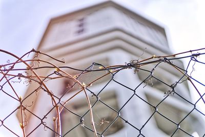 Low angle view of chainlink fence against built structure