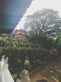 Statue amidst trees and buildings against sky