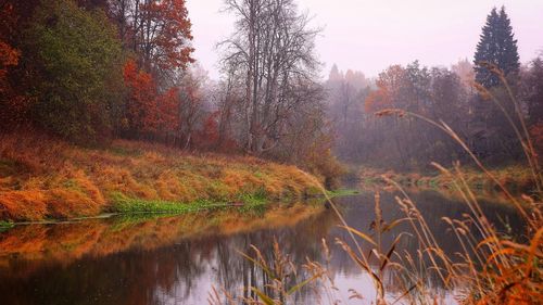 Scenic view of lake in forest during autumn