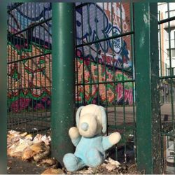 Abandoned stuffed toy against fence