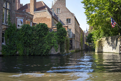 River amidst trees and buildings