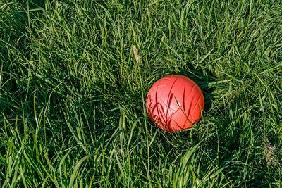 Close-up of soccer ball on field