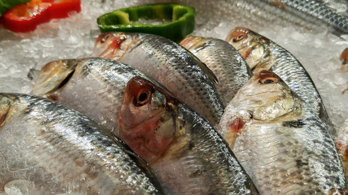 Close-up of fish for sale in market